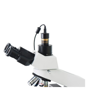 Камера ToupCam SCMOS00920KPA