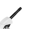 Микроскоп школьный Эврика 40х-1600х (вар. 3)