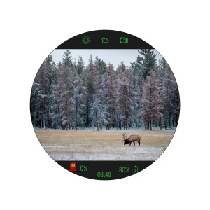 Прицел цифровой Veber DigitalHunt R25X4-32 ночной